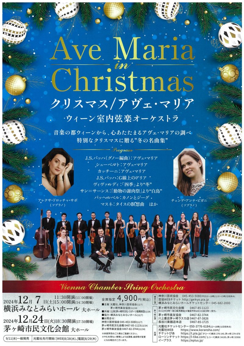 クリスマス / アヴェ・マリア ウィーン室内弦楽オーケストラのイメージ